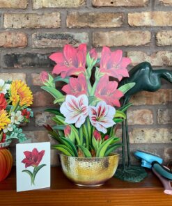 Freshcut Paper Pop Up Cards, Scarlet Amaryllis, 16 inch Life Sized Forever Flower Bouquet 3D Popup Christmas, Winter, Holiday Greeting Cards with Note Card and Envelope - Christmas Decorations 19 81PBBKpApwL