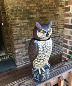 Dalen Fake Owl Decoy to Scare Birds Away from Gardens, Rooftops, and Patios - Scarecrow Provides Chemical-Free Pest Control - Safe and Humane, 18" 360º Rotating Head 39 81PERt2yYL