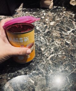 Ethical 3-1/2-Inch Pet Food Can Covers, 3-Pack Covers Are 3 1/2" Diameter 30 81PFWvB5WDL