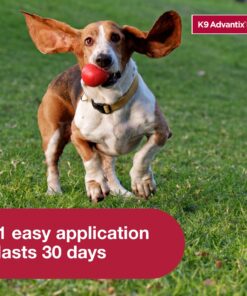 K9 Advantix II Small Dog Vet-Recommended Flea, Tick & Mosquito Treatment & Prevention | Dogs 4-10 lbs. | 4-Mo Supply, 4 Pack Small Dog only 20 81PFfMmFM7L 3
