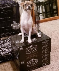 Alpha Paw - Odor Eliminating Pee Pads for Dogs, Extra Thick Disposable Leak-Proof Dog Pads, Quick-Dry, Non-Slip Backing, With Pheromones To Attract Your Dog Standard (22"x 23") 26 81PGHmckkL