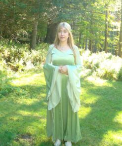 Rubie's Deluxe Queen Arwen Costume Standard 35 81PHlaYRYLL