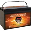 VMAXTANKS VMAXSLR125 AGM 12V 125Ah SLA Rechargeable Deep Cycle Battery for Use with Pv Solar Panels Smart Chargers, Wind Turbines and Inverters and Backup Power (12 Volt 125Ah Group 31 AGM) 47 81PJMe Gi6L
