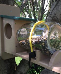 Birds Choice SNSQJAR Recycled Squirrel Jar Feeder, Squirrel Feeders, 7-1/4"L X 19"W X 15-3/4"H, Taupe w/ Green Roof 33 81PL9dR4BEL