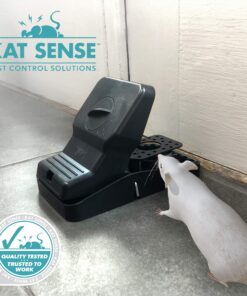 Kat Sense Rat Traps That Work Indoor & Outdoor for Instant Kill Results, Set of 8 Large Reusable Snap Traps for Mice Chipmunks 'N Squirrels 8 Piece 23 81PNtrKBP8L