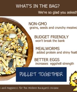 Alternative view of Treats for Chickens Pullet Together - Nutrition For Birds - Chickens, Quail, Turkeys, Ducks, Pheasant, Geese, Hens, Roosters, Poultry – Non-GMO, High Protein, Grains, Cracked Corn, Sunflower Seeds, Mealworms, Oyster Shell -  5 lb. Bag 5 Pound (Pack of 1)