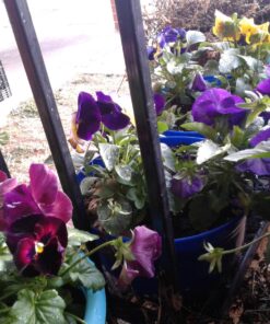 20 Piece Multi Use Great Value,Drop Cloth,Plastic Drop Cloth, 9x12Feet, Plastic Painting Tarp Waterproof Plastic Cover Clear Tarp Plastic Sheeting 13 81PQk1zKiL