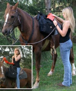 MTM Survivor Dry Box with O-Ring Seal Orange Small 9 81PTLr0vvLL