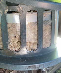 Woodlink Squirrel Diner Feeder Model 75590 beige 32 81PVcp48ejL