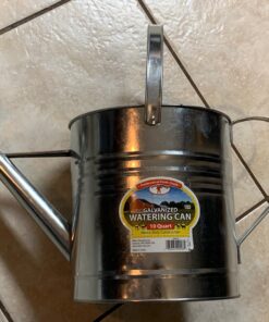 Behrens 2-1/2-Gallon 210 Steel Watering Can, Silver 23 81PVlaZSaL