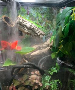 Croci Zoo Med Reptile Fogger Terrarium Humidifier,Black 29 81PXLIsrf6L