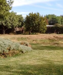 Pool Supply Town 12" x 3T 12-Inch 3 Teeth Heave Duty Steel Brush Cutter Trimmer Weed Eater Blade 30 81PYSEjlwAL