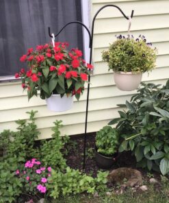 Ashman Shepherds Hook 65 Inch Two Sided Shepherd Hook, 1/2 Inch Thick, Super Strong, Rust Resistant Steel Hook Ideal for Use for Hanging Plant Baskets, Bird Feeders, and Weddings Pack of 1 28 81PaCgxj5PL