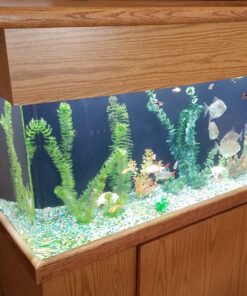 VIVOSUN T5 Grow Light Bulbs 54W 6500K HO Fluorescent Tubes Light Bulbs, Cool White T5 Bulb for 46 Inches T5 Light Fixtures, T5 Grow Lights for Indoor Plants, Pack of 5 54.0 Watts 28 81PbAbyEXcL