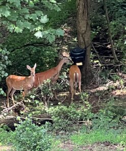 Moultrie Feed Station, Choose Model Feed Station II 29 81PeopnWHPL