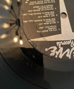 in The Groove Vinyl Roller Cleaner - Vinyl Cleaning Device for Quick Cleaning Vinyl Records or LP Surfaces from Dust, Anti-Static Record Cleaner Roller to Keep Your Audio Album Turntables Sound Clear 15 81PfCtxX7 L