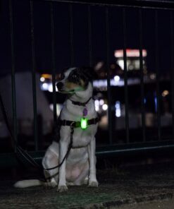 LED Safety Light 2 Pack - Nighttime Visibility for Runners, Cyclists, Walkers, Joggers, Kids, Dogs, Relays & More - Clip to Clothes Strap to Wrist, Ankle, Bike, Collar, or Just About Anywhere! Green 16 81PfmFhPK4L