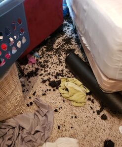 Rollga PRO - The BETTER Foam Roller for Flexibility, Muscle Recovery, Back & Neck Massage, & Exercise (Black) Black 36 81PgowEQixL