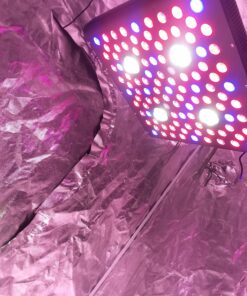 AGLEX 420W COB LED Grow Light, Full Spectrum Plant Grow Lamp with Daisy Chain Veg and Bloom Switch for Hydroponic Greenhouse Indoor Plant Veg and Flower (C2000) C2000 61 81Phb6oFzIL