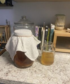 The Big Book of Kombucha: Brewing, Flavoring, and Enjoying the Health Benefits of Fermented Tea Hardcover 7 81Phe7bk4GL