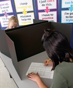 Pacon Privacy Boards, Black, 48" x 16", 4 Boards (3791) 17 81Pj2cq3u7L