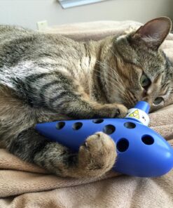 Songbird Ocarina of Time Replica - Ocarina Musical Instrument with Tutorial and Songs - Tuned in C with Crystal Clear High Notes 36 81Pk xruGaL