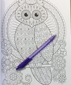 Groovy Owls Coloring Book (Coloring is Fun) (Design Originals) 32 Adorable Art Activities with Quiet, Stoic, Wise, and Happy Owls, plus Beginner-Friendly Advice, Techniques, Color Choices, & Examples Paperback, Coloring Book 43 81PkE3p9ZcL