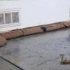 Watershed Innovations HydraSorber Water Absorbent Sandless Sandbags, 11-Foot Long by 8-inch Wide 11 Foot Length (Single Unit) 14 81PpJYIU4L