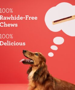 DreamBone DreamSticks, Rawhide Free Dog Chew Sticks Made with Real Chicken and Vegetables, 15 Sticks 15 Count 15 81Psj1GDWL