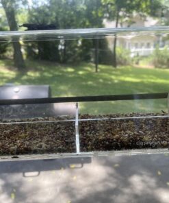 Wagner's 62032 Cardinal Blend Wild Bird Food, 6-Pound Bag 1-Pack 29 81PtCKVEqwL