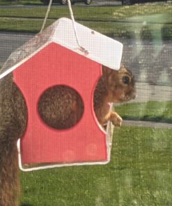 Audubon Park 12243 Critter Crunch Wild Bird and Critter Food, 15-Pounds 39 81PtHWJuQhL