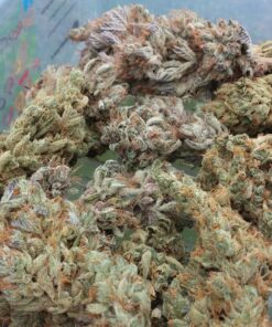 Canna CA1260+CA1270 Coco A & B, 1 L, Set of 2 Plant Growth, White/Brown 21 81PwM75F1ZL