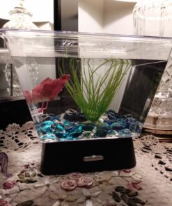 Tetra LED Betta Tank Kit 1 Gallon, Trapezoid aquarium With Base Lighting (24050) 27 81Py5lkWKqL