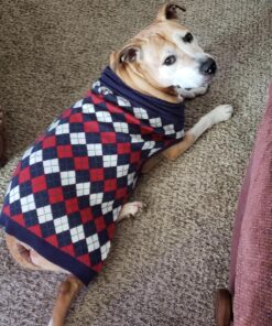 Blueberry Pet Chic Argyle All Over Dog Sweater in Navy Blue, Back Length 20", Pack of 1 Clothes for Dogs 20 inch (Pack of 1) Argyle Navy Blue 24 81Q fnhy L 1