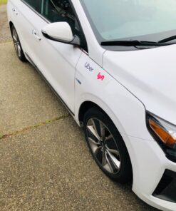 Master Magnetics Magnet Maker Flexible Magnetic Sheet - 12" Wide, 24" Long, White Vinyl Front, 08505 38 81Q2DaJUztL