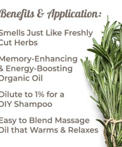 Plant Therapy Organic Rosemary Essential Oil 100% Pure, USDA Certified Organic, Undiluted, Natural Aromatherapy, Therapeutic Grade 30 mL (1 oz) 1 Fl Oz (Pack of 1) 9 81QCvji6WL