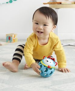 Skip Hop Baby Rattle Toy, Explore and More Roll Around Rattle, Hedgehog 32 81QDJqRBIGS