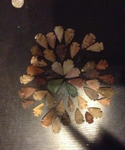 Set Of 50 Indian Arrowheads Agate New Replica 1/2 " - 1 1/2 " L 29 81QEPvLXFzL