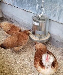 Harris Farms 1000293 Galvanized Hanging Poultry Feeder, 15 lbs, Metal 15 lb 38 81QPYPgMZsL