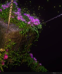 Highwings 4K 60HZ HDMI Cable 6.6FT, 18Gbps High Speed 2.0 Braided Cord-Supports (4K 60Hz HDR,Video 4K 2160p 1080p 3D HDCP 2.2 ARC-Compatible with Ethernet Monitor PS 4/3 HDTV 4K Fire Netflix 6.6 feet Grey 35 81QQpdcqFuL