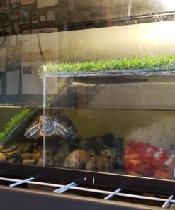 Alternative view of Aqueon Aquarium Silicone Sealant Clear 10 Ounces