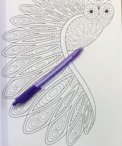Groovy Owls Coloring Book (Coloring is Fun) (Design Originals) 32 Adorable Art Activities with Quiet, Stoic, Wise, and Happy Owls, plus Beginner-Friendly Advice, Techniques, Color Choices, & Examples Paperback, Coloring Book 44 81QU 6VpJL