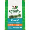 GREENIES Petite Natural Dog Dental Care Chews Oral Health Dog Treats Fresh Flavor, 12 oz. Pack (20 Treats) Mint 12 Ounce (Pack of 1) 10 81QZBL0U sL
