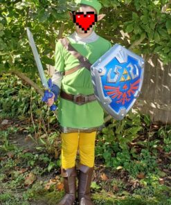 Disguise Deluxe Child Link Costume Large (10-12) 23 81QZN niOmL