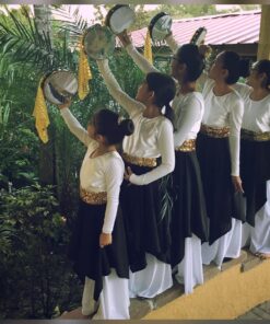 Alternative view of Remo TA410648 Tambourine (6-Inch) - Radiant Head Original Version