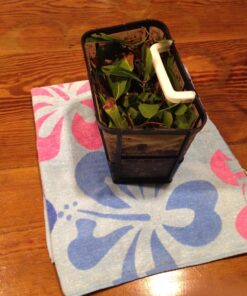 Dolphin Escape Robotic Pool Cleaner (2023 Model) — Massive Top-Loading Filter, Dual Motors, HyperBrush, HyperGrip Tracks, Smart Navigation — For Above Ground & In-Ground Pools up to 33ft 41 81QfQAktiL