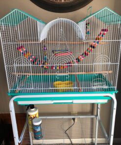 Prevue Hendryx Triple Roof Cockatiel Cage, Blue and White Blue & White 17 81QfQzIvDqL 3