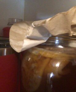 Poseymom Double Pack Kombucha Scobies and Starter Tea | (No Vinegar or Artificial Flavors Added) (Make 1/2 Gallon (1/2Cup Starter)Each 33 81QhC95rXAL