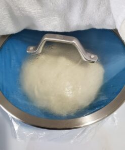 Saf Instant Yeast, 1 Pound Pouch 1 Pound (Pack of 1) 82 81QlK MpDzL