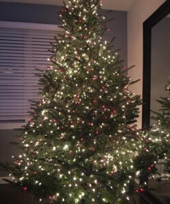 2 Way Splitter Extension Cord, 3 Prong Double Outlet Power Cord, 16 AWG, 1 Foot Black, 3 Pack by ClearMax 31 81QnOcFWXYL